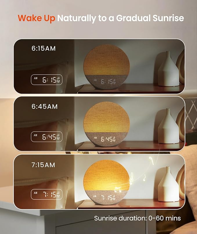 Dreamegg Sunrise 1 - Image 4