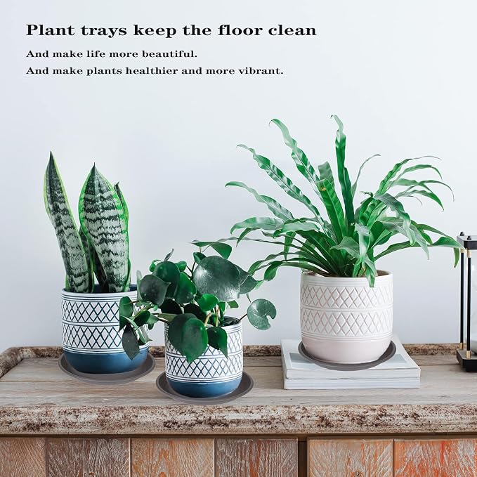 2 Pack of 22 inch Plant Saucer, Large Plant Tray, Heavy Sturdy Plant Drainage - Image 6