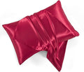 Satin Pillowcases with Zipper （20x30）, Queen Size Pillowcases Set of 2 by HommxJF