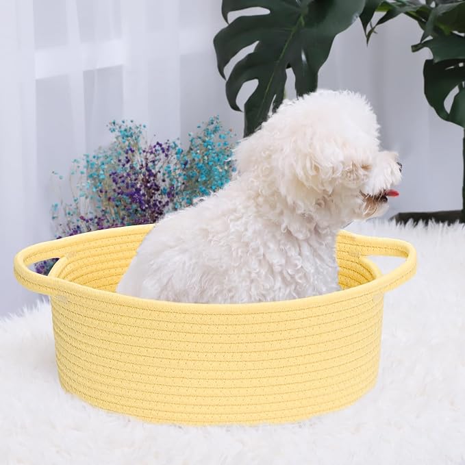 ABenkle Small Basket with Handles - Image 4