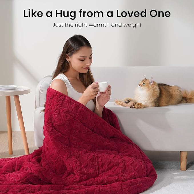 Drewin Adults Weighted Blanket Queen Size 15 lbs, 3D Stylish Fluffy Jacquard - Image 4