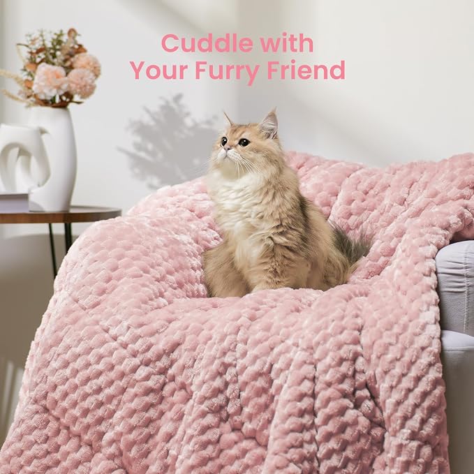 Drewin Weighted Blanket for Adults Queen Size 15lbs, Soft Cozy Turtleback - Image 5