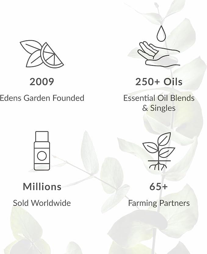Edens Garden Sparkling Cinnamon Natural Room & Linen Spray – 100% Pure - Image 6