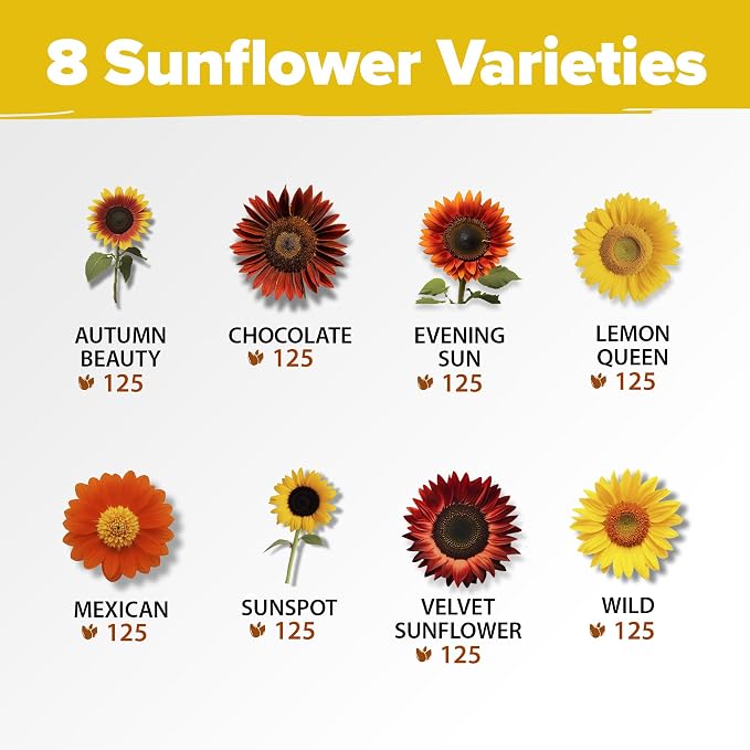 HOME GROWN Sunflower Seeds for Planting | 8 Varieties |1000+ Non-GMO Sun Flower - Image 2
