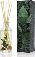 Urban Naturals Balsam Forest Reed Diffuser Oil Set by UrbanNaturals