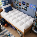 ELEMUSE Twin Mattress Topper for Back Pain, Extra Thick Mattress Pad Cover by ELEMUSE