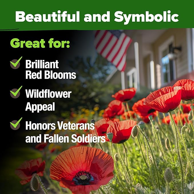 HOME GROWN American Legion Red Poppy Seeds - Image 6