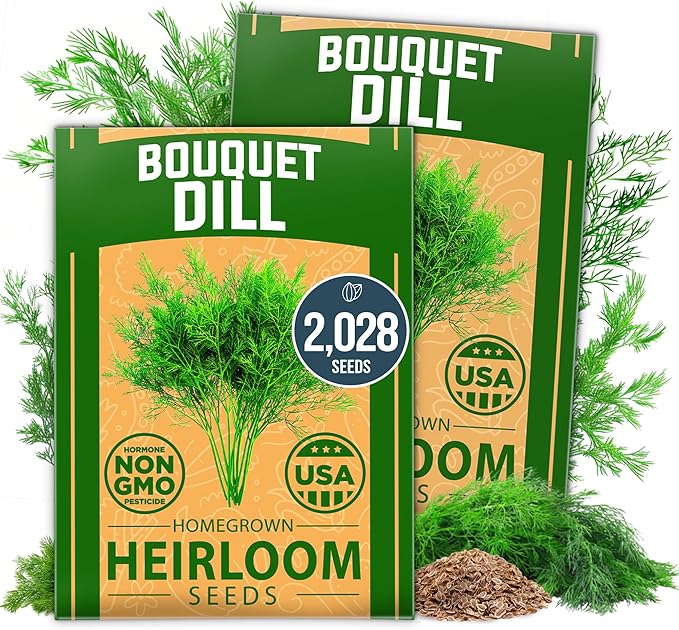 HOME GROWN Dill Seeds 2 Pack by HOMEGROWN