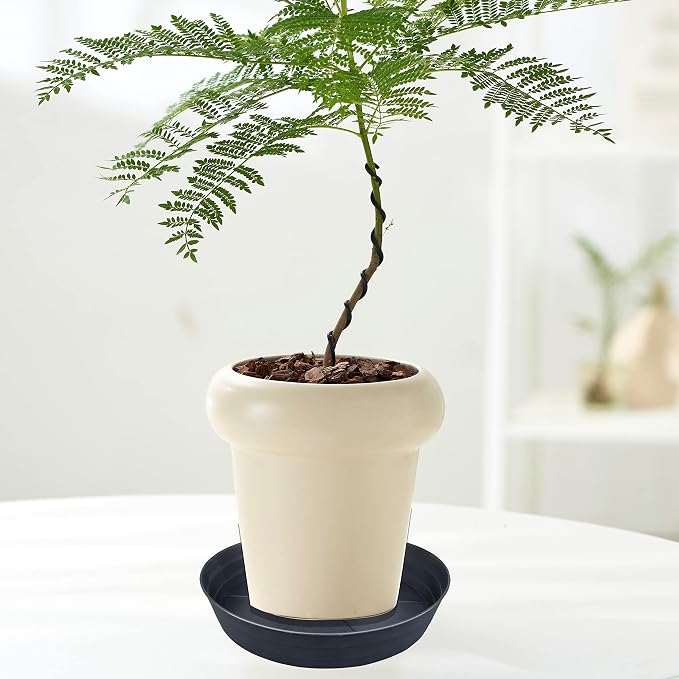 16 Inch Large Plant Saucers, Extra-Deep 2.3 in Black Drip Trays - Image 7