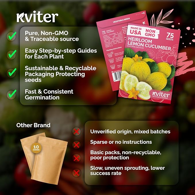 KVITER 75 Lemon Cucumber Seeds - Image 5