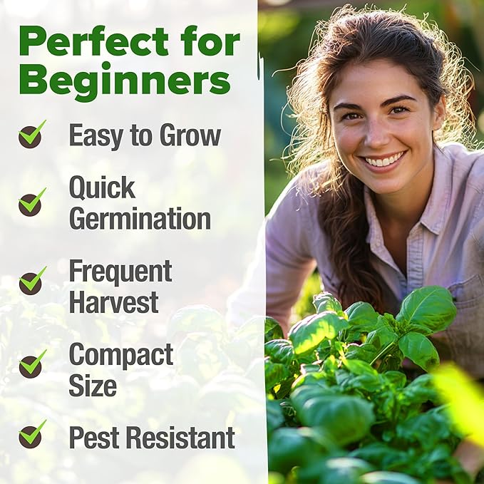 HOME GROWN Non GMO Genovese Basil Seeds Pack 1, 750+ High Germination Heirloom - Image 4
