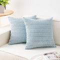 Aegero Pack of 2 Corduroy Decorative Throw Pillow Covers 16x16 Inch Soft by Unknown