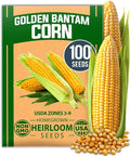 HOME GROWN Golden Bantam Sweet Corn Seeds 100+ Heirloom Non-GMO Seeds by HOMEGROWN