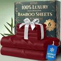 DECOLURE 100% Viscose Derived from Bamboo Sheets Queen Size by DECOLURE