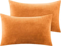 BEDELITE Flannel King Size Pillow Cases Set of 2, Super Soft Fleece Pillowcases by BEDELITE