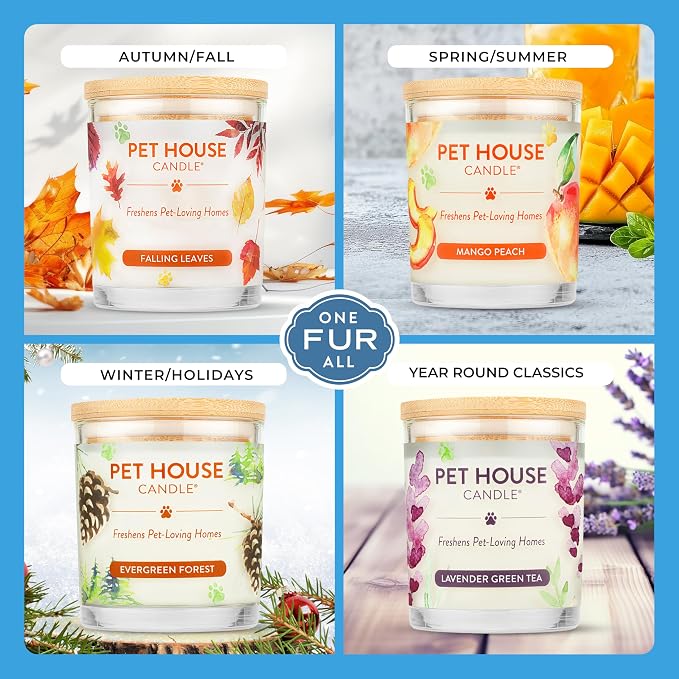 Pet House Candles, Plant-Based, Long Lasting, Clean Burning Scented Candles - Image 4