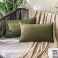 MIULEE Pack of 2 Decorative Outdoor Solid Waterproof Throw Pillow Covers Spring by MIULEE