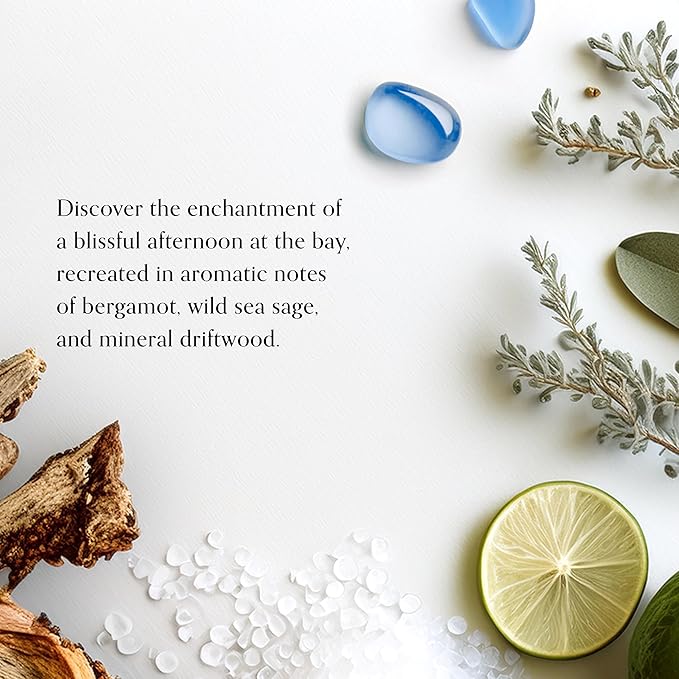 Chesapeake Bay, 11oz Serene Waters Scented Candle, Mood Evoking Fragrance - Image 3