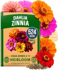 HOME GROWN Zinnia Dahlia Seeds Pack by HOMEGROWN