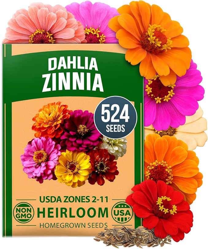 HOME GROWN Zinnia Dahlia Seeds Pack by HOMEGROWN