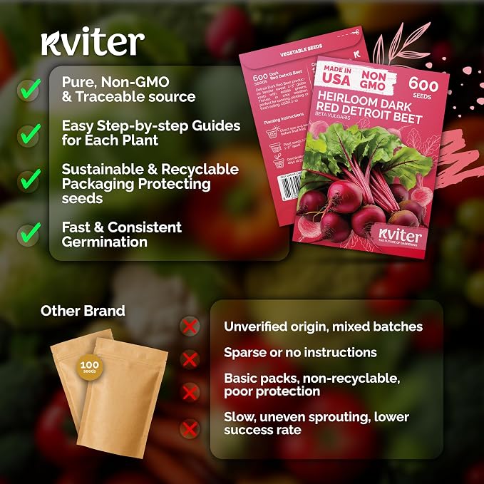 KVITER 600 Detroit Dark Red Beet Seeds - Image 5