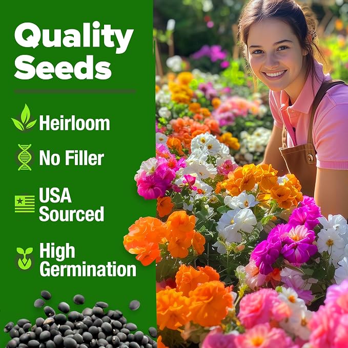 HOME GROWN 23, 500+ Moss Rose Seeds Annual Flower - Image 8