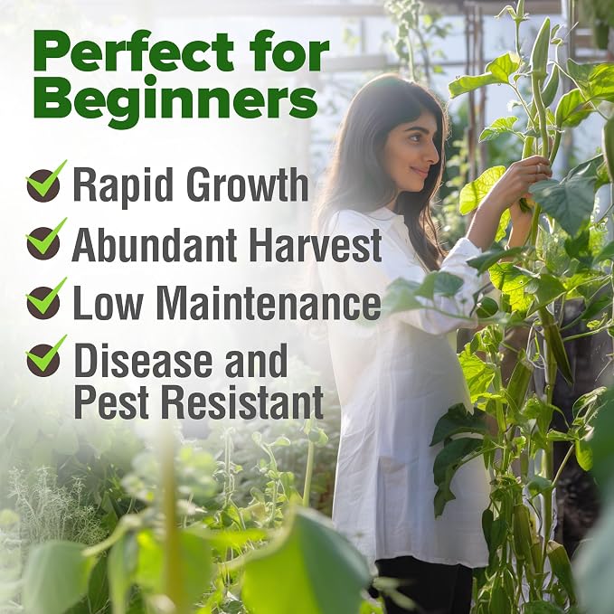 HOME GROWN Clemson Spineless Okra Seeds 101+ Heirloom Non-GMO Vegetable Seeds - Image 5