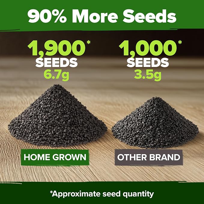 HOME GROWN 8 Onion Variety Mix 1600+ Heirloom Non-GMO Seeds - Image 4