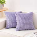 Aegero Pack of 2 Corduroy Decorative Throw Pillow Covers 18x18 Inch Soft by Unknown