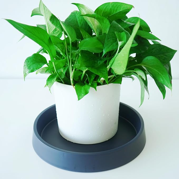 Plant Saucer Tray for Ceramic Plastic Pots, 16 inch Plant Saucers for Indoors - Image 3