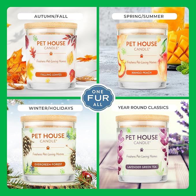 Pet House Pet Odor Candle Plant Based Soy Candle Clean Burning, Long Lasting - Image 4