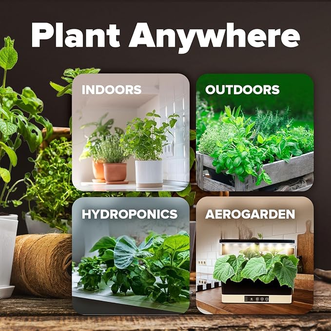 HOME GROWN 15 Variety Survival Seed Vault 7, 000+ Heirloom Non-GMO Vegetable - Image 8