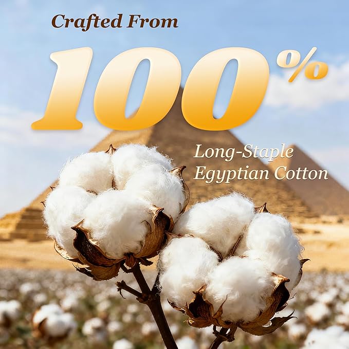 LBRO2M 1000 Thread Count 100% Egyptian Cotton Sheets Set Clifornia King - Image 2