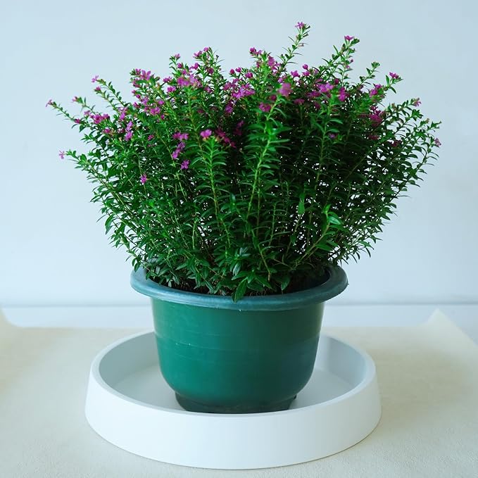 Plant Saucer Tray for Ceramic Plastic Pots, 18 inch Plant Saucers for Indoors - Image 5