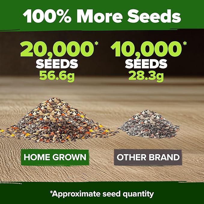 HOME GROWN Premium Monarch Butterfly Wildflower Seeds Mix - Image 6