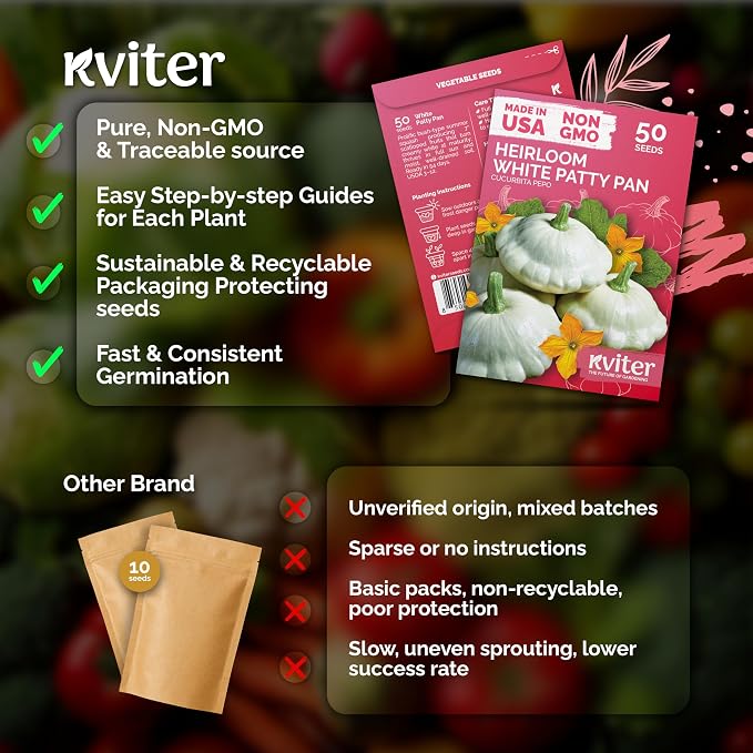 KVITER 50 White Patty Pan Squash Seeds – Scallops Bush Summer Squash Seed - Image 5