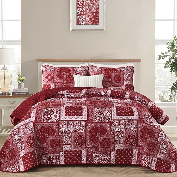 Cottolester Queen Quilt Set 3 Pieces, Soft Microfiber Boho Farmhouse Bedspread by Cottolester