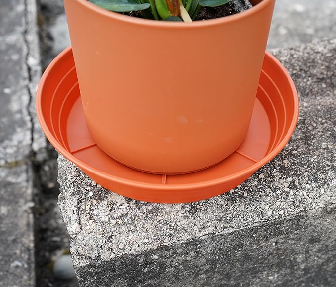 LWALRS Plant Saucer 14 Inch 2 Pack 6 8 10 12 14 16 18 20 25, Plastic Plant Trays - Image 4