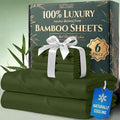 DECOLURE 100% Viscose Derived from Bamboo Sheets Queen Size by DECOLURE
