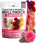 HOME GROWN Hollyhock Chaters Double Mix 2400 Seeds – Holly Hocks Seeds by HOMEGROWN