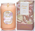 M&SENSE Santal Candles for Home Scented, 10.6 Oz Soy Wax Candles Non Toxic Jar by MSENSE
