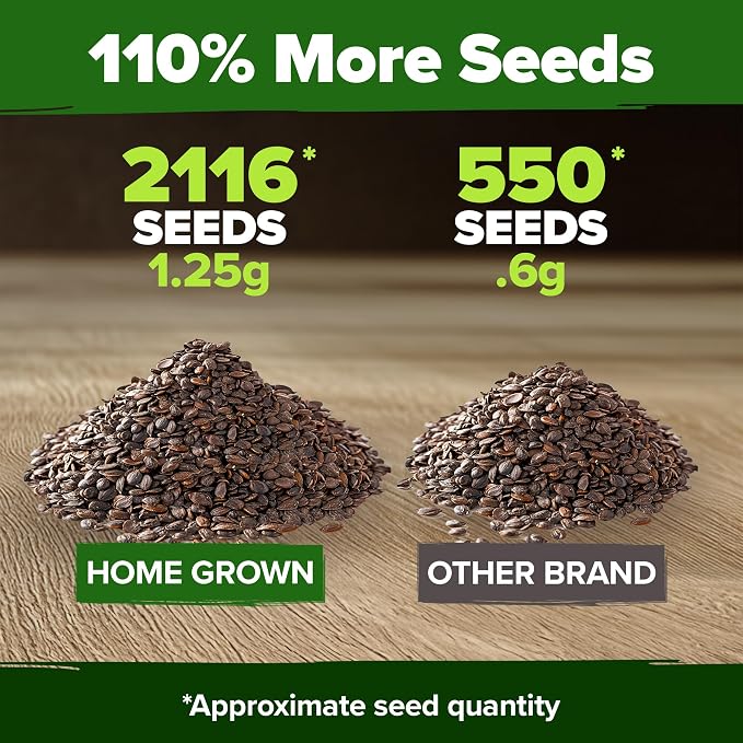 HOME GROWN Non GMO Catnip Seeds Heirloom Herb 2, 116 Seeds - Image 3