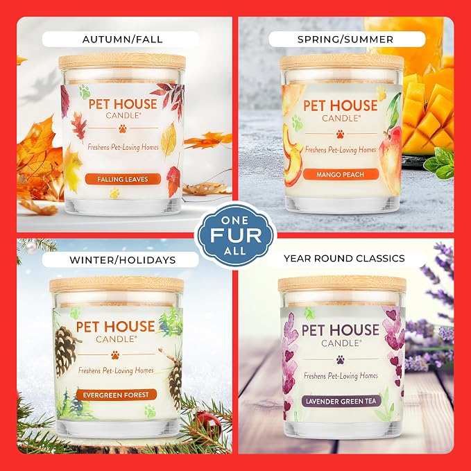 One Fur All Pet Candle 9 OZ Plant-Based Air Freshening Candle, Clean Burning - Image 4