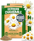 HOME GROWN German Chamomile Seed Pack – 4, 560 Heirloom Seeds by HOMEGROWN