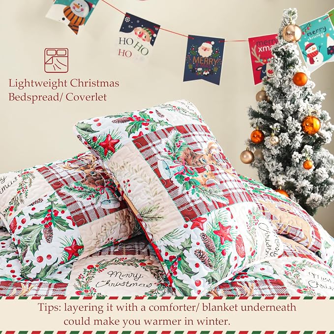 Exclusivo Mezcla Reversible Christmas Quilts King Size - Image 5