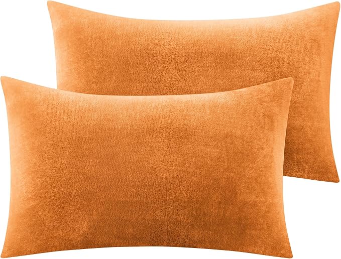 BEDELITE Flannel Pillow Cases Queen Size Set of 2, Super Soft Fleece Pillowcases by BEDELITE