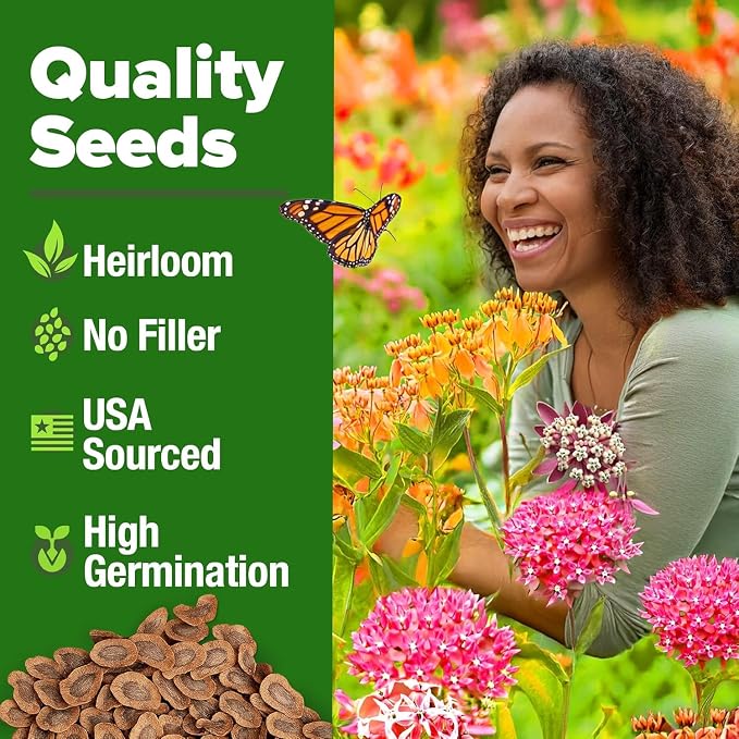 HOME GROWN Milkweed Flower Seeds - Image 6