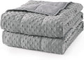Mr. Sandman Weighted Blanket for Adults Queen, Minky Dots Heavy Blanket for by MrSandman
