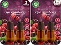 Air Wick Essential Mist – Twin Refill Ripe Cranberry & Currants, 2 Refills by AirWick