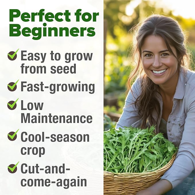 HOME GROWN Arugula Roquette Seeds 4350+ Bulk Pack Heirloom Non-GMO, High - Image 5